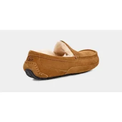 Ascot Slipper Chestnut