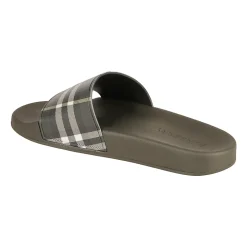 Check Slides